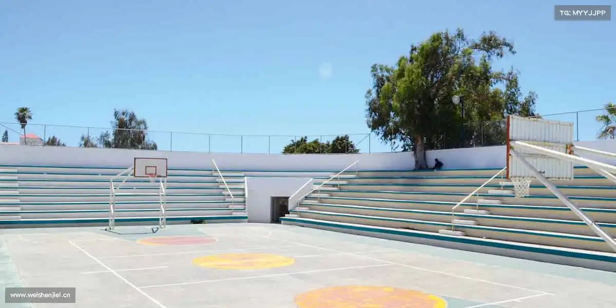 DB真人🏀用热爱投篮，让梦想命中篮筐！