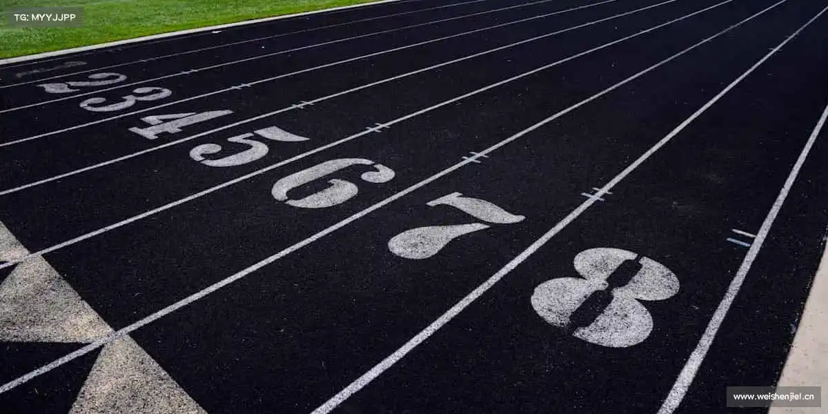 行业领先的理由